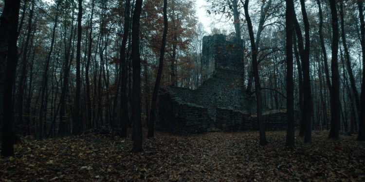 I Hear the Trees Whispering