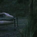 Under the Skin