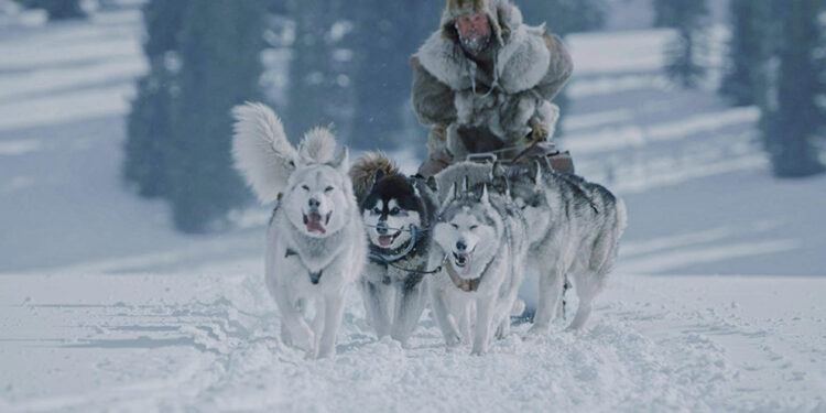 The Great Alaskan Race