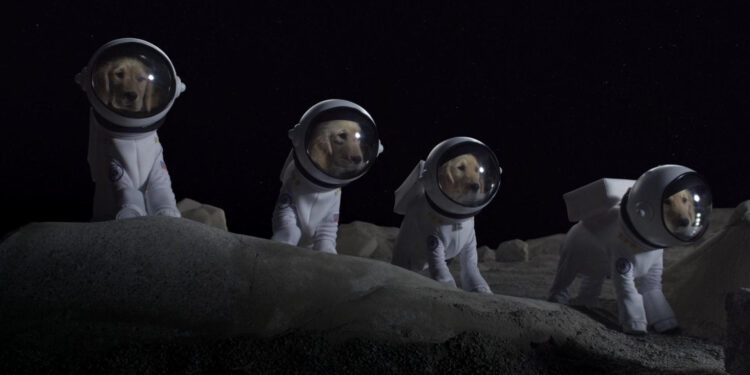 Space Buddies