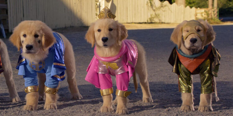 Super Buddies