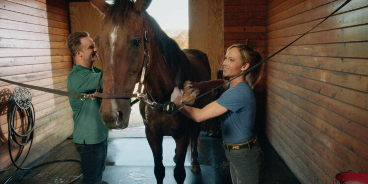 Taking the Reins