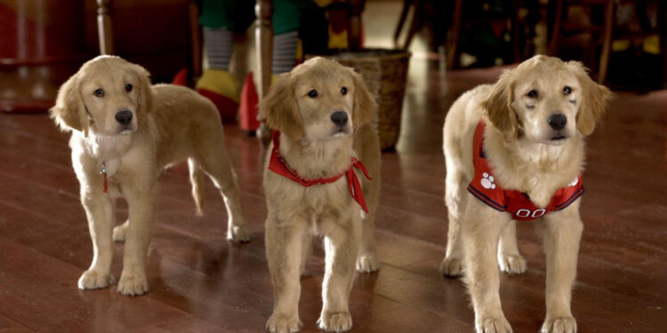 Santa Buddies
