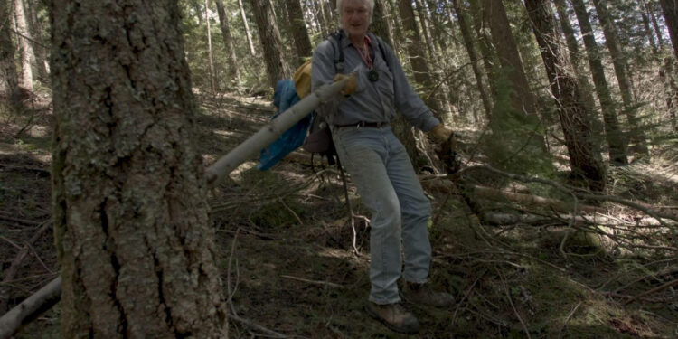 Hunting Bigfoot