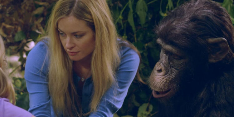 Amazing Ape