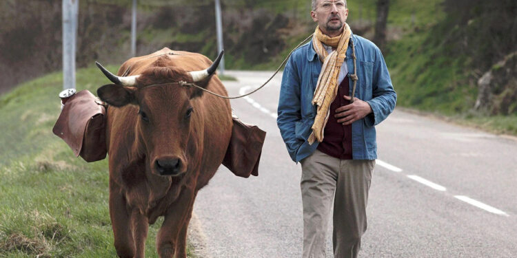 One Man and his Cow