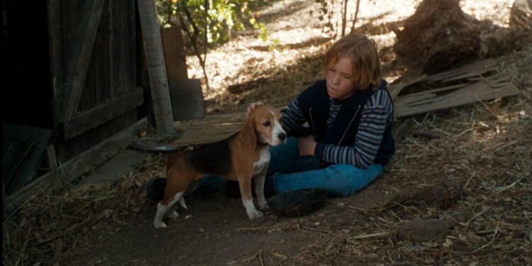 Shiloh