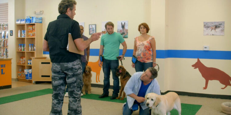 The Dog Who Saved Summer