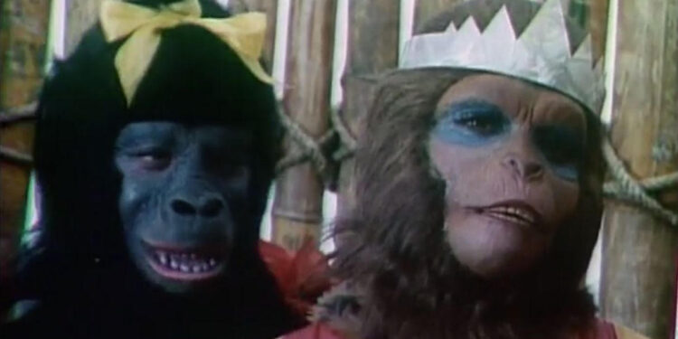 O Trapalh&atilde;o no Planalto dos Macacos