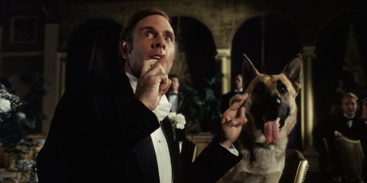 Won Ton Ton: The Dog Who Saved Hollywood