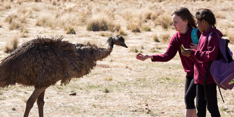 Emu Runner