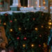 Christmas Cruelty
