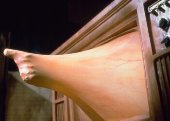 Best Cronenberg Body Horror Films