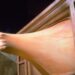 Best Cronenberg Body Horror Films