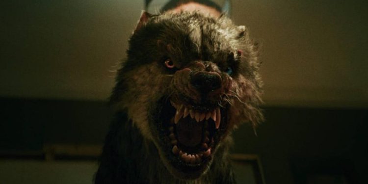 Viking Wolf