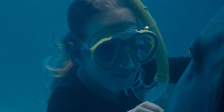 Blueback