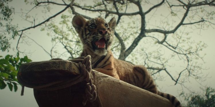 The Tiger’s Nest