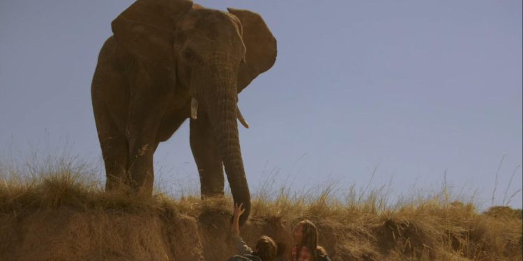 Against the Wild II: Survive the Serengeti