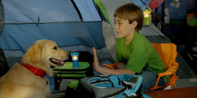 Charlie: A Toy Story
