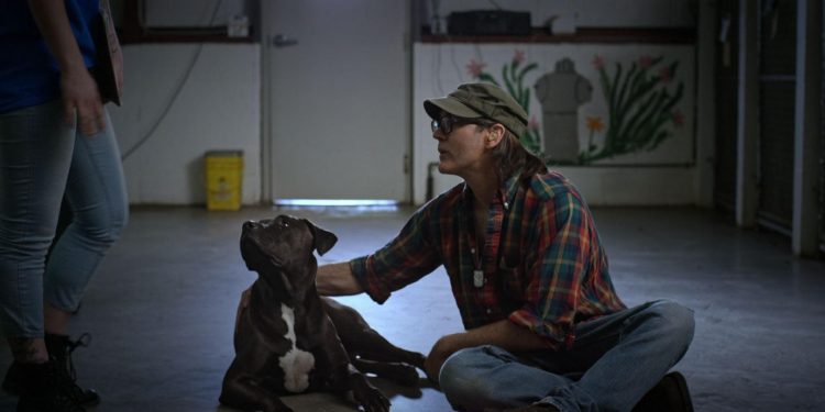 MBF: Man’s Best Friend