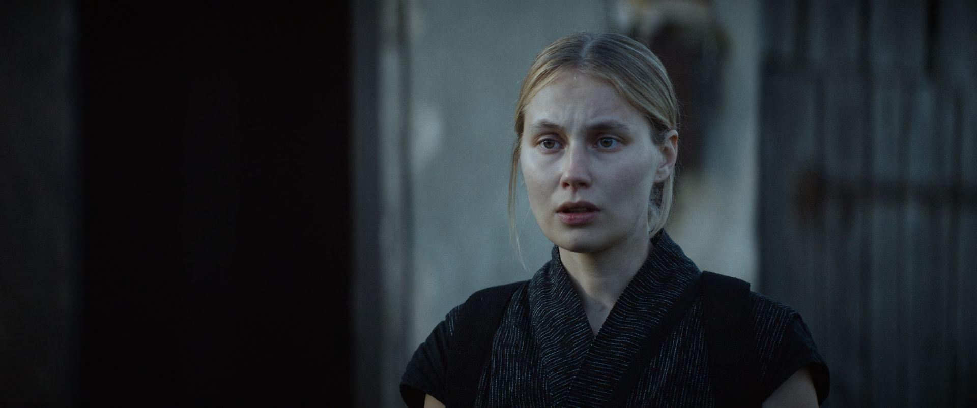 Top Recent Dystopian Films You Haven’t Seen
