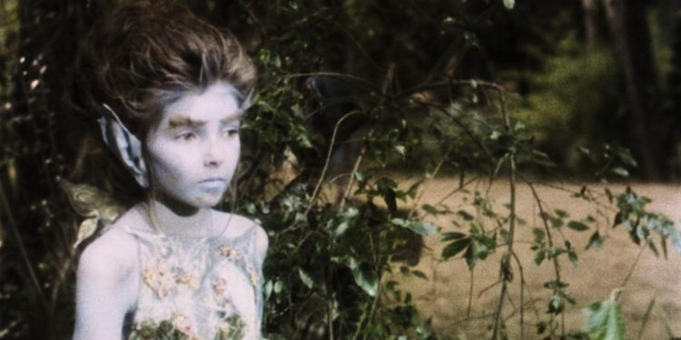 The Fairy King