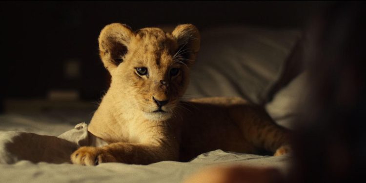 King