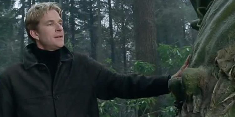 Jack and the Beanstalk: The Real Story