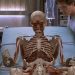 Top Films About Genetic Engineering You Haven't Seen - 2000's