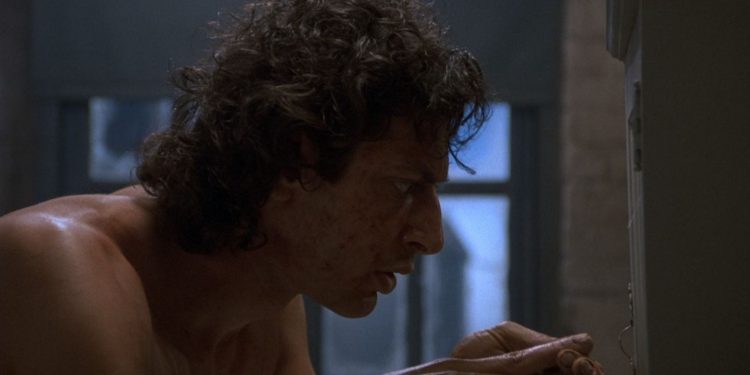 Best Body Horror Films of All Time