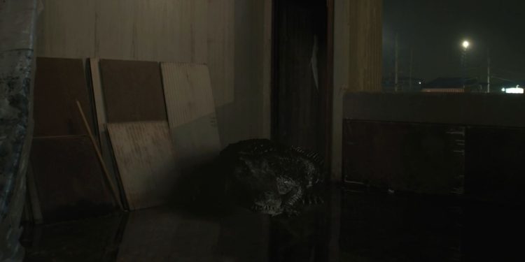 The Flood