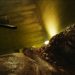 The Best Horror Films of 2023 for Halloween