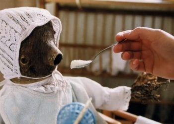 Top Folk Horror Films You Haven't Seen - 2000's