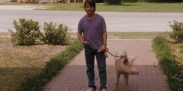 Top Fish Out of Water Comedies You Haven't Seen from the 1990's