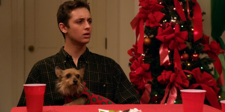 12 Dog Days Till Christmas