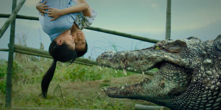 Million Dollar Crocodile