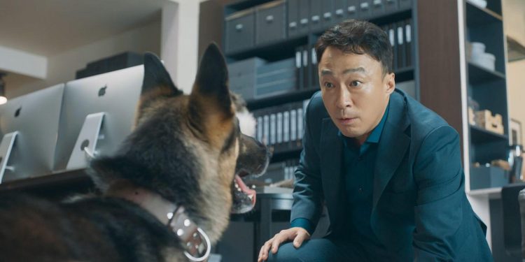 Mr. Zoo: The Missing VIP