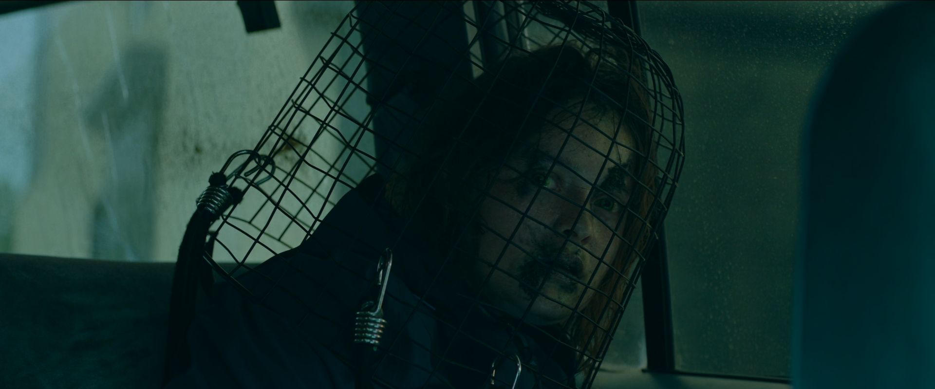 Best Recent Eco-Horror Films