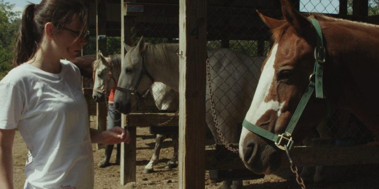 Horse Camp