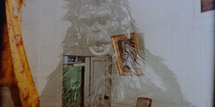 The Invisible Man’s Love Life