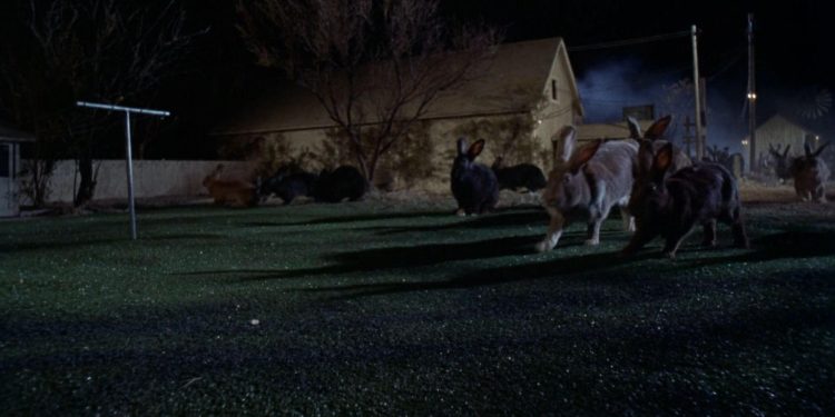 Night of the Lepus
