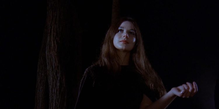 Mark of the Witch