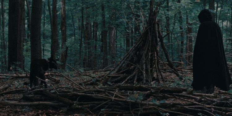 Evil Takes Root