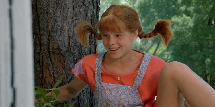 The New Adventures of Pippi Longstocking