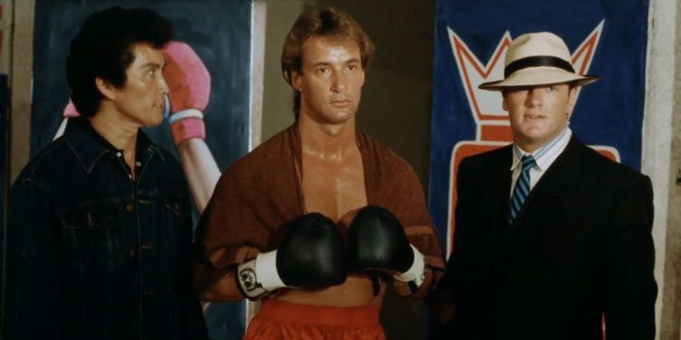 The Fighter