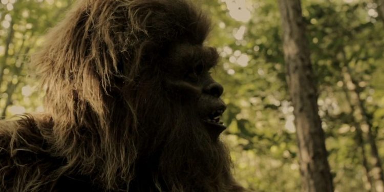 Man vs. Bigfoot