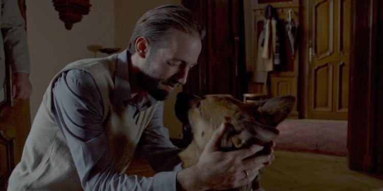 Shepherd: The Hero Dog