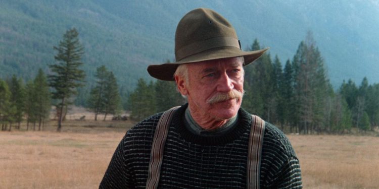 The Grey Fox