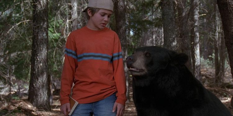 Gentle Ben