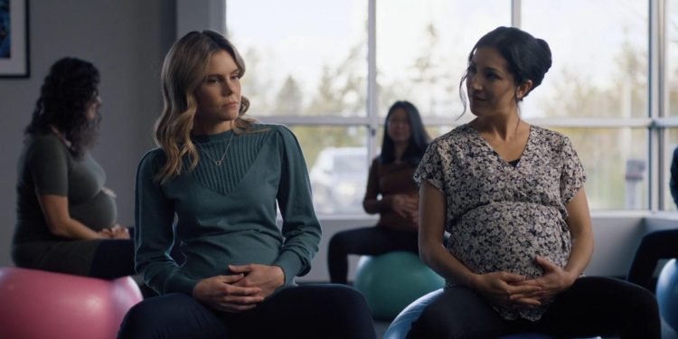 The Pregnancy Scheme